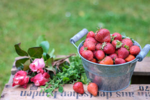 Sommer-Stillleben mit frisch geernteten Erdbeeren und Rosen auf einer Weinkiste, unscharfer grüner Hintergrund Sommer-Stillleben mit frisch geernteten Erdbeeren und Rosen auf einer Weinkiste, unscharfer grüner Hintergrund